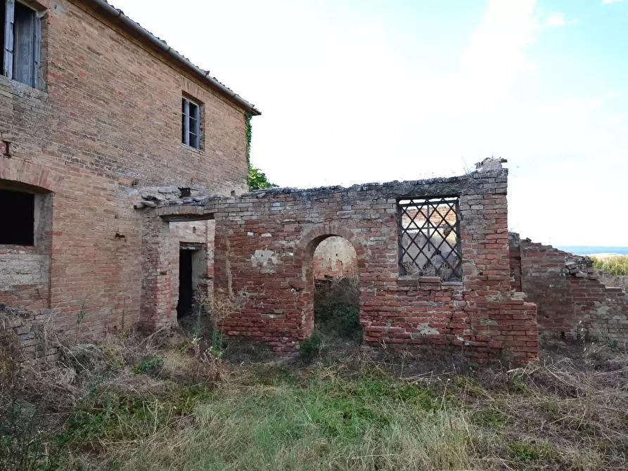 Immagine 30 di Casa colonica in vendita  a Monteroni D'arbia