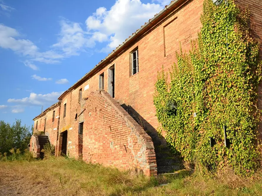 Immagine 15 di Casa colonica in vendita  a Monteroni D'arbia