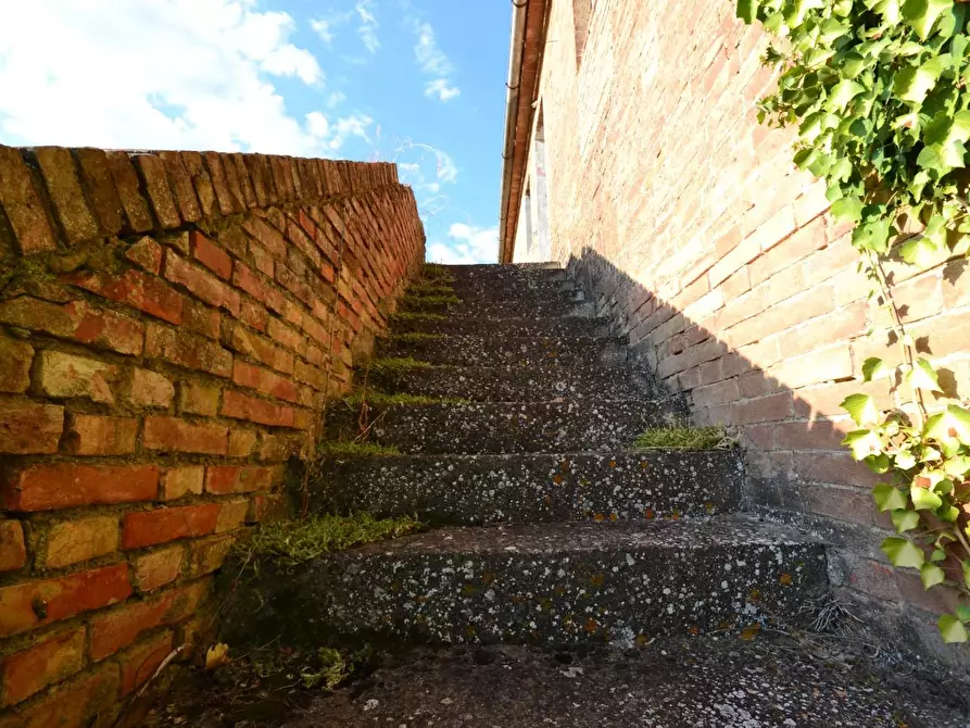 Immagine 38 di Casa colonica in vendita  a Monteroni D'arbia
