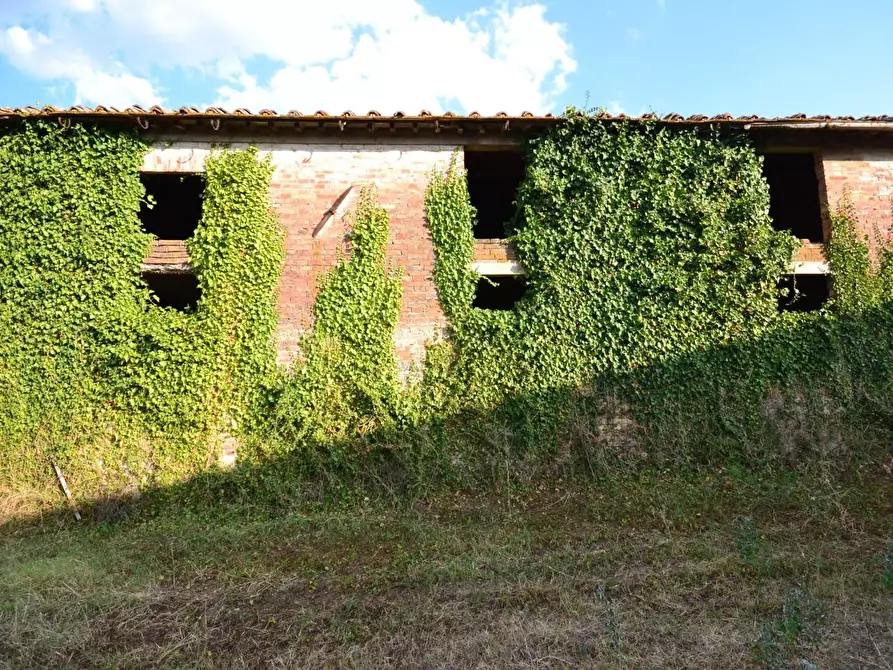 Immagine 29 di Casa colonica in vendita  a Monteroni D'arbia