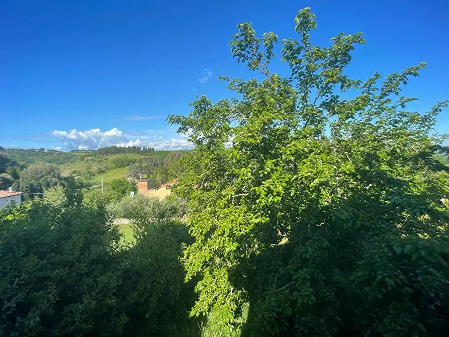 Immagine 3 di Appartamento in vendita  a Casciana Terme Lari