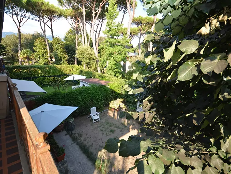 Immagine 13 di Villetta a schiera in vendita  a Massa