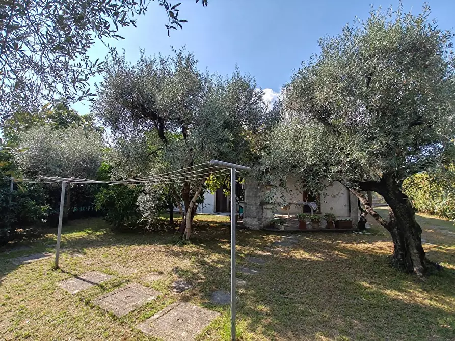 Immagine 35 di Casa bifamiliare in vendita  a Massa