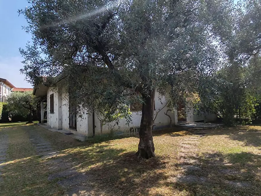 Immagine 32 di Casa bifamiliare in vendita  a Massa