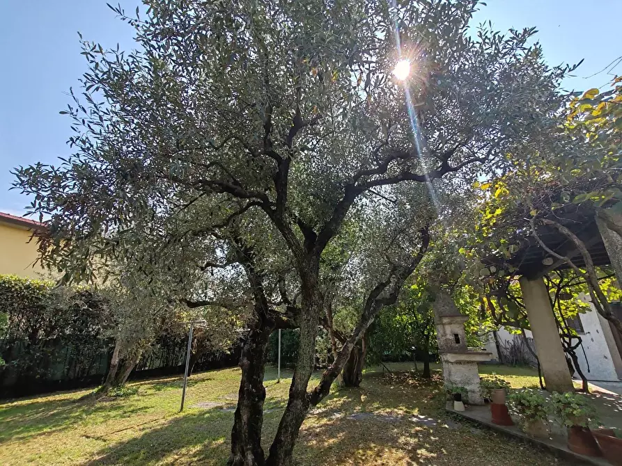 Immagine 34 di Casa bifamiliare in vendita  a Massa