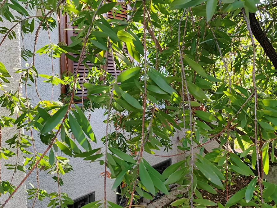 Immagine 30 di Casa bifamiliare in vendita  a Massa