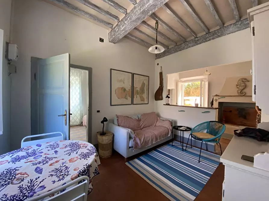 Immagine 9 di Appartamento in vendita  a Rio Marina