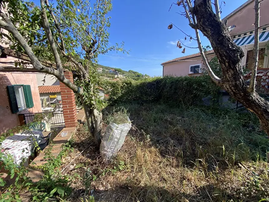 Immagine 3 di Appartamento in vendita  a Rio Marina