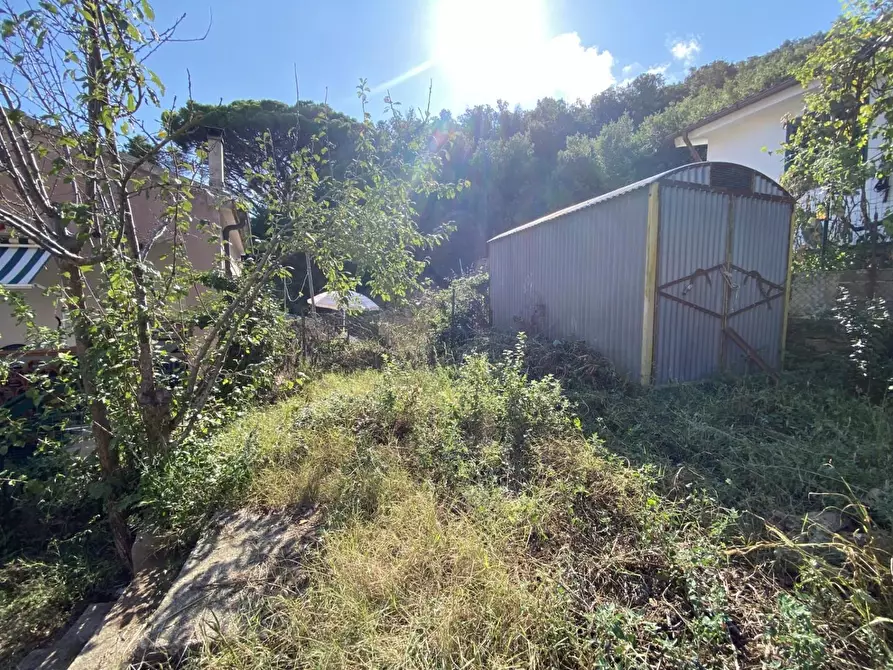 Immagine 5 di Appartamento in vendita  a Rio Marina