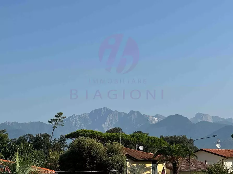 Immagine 8 di Appartamento in vendita  a Pietrasanta