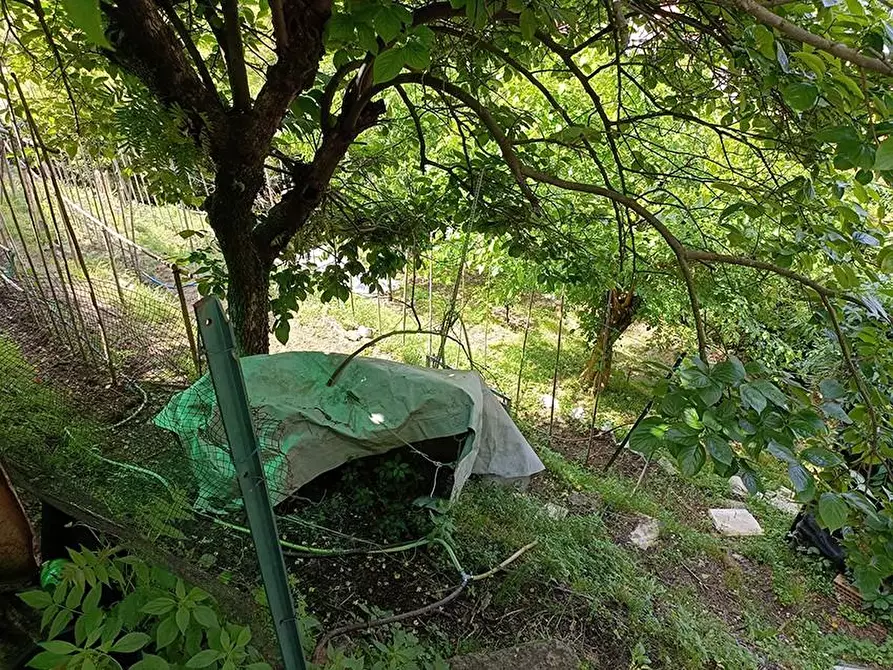 Immagine 44 di Casa indipendente in vendita  a Carrara