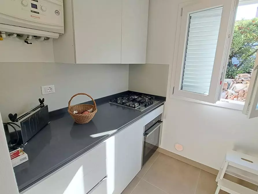 Immagine 6 di Terratetto in vendita  a Rosignano Marittimo