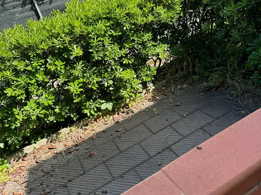 Immagine 2 di Villetta a schiera in vendita  a Massa