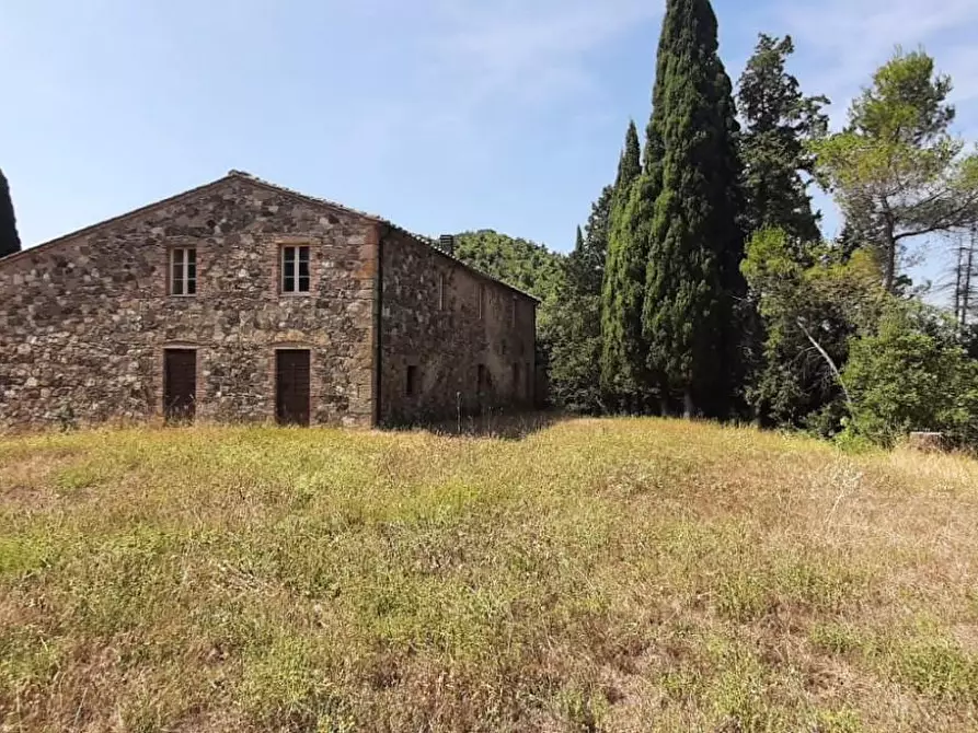 Immagine 15 di Casa colonica in vendita  a Pomarance