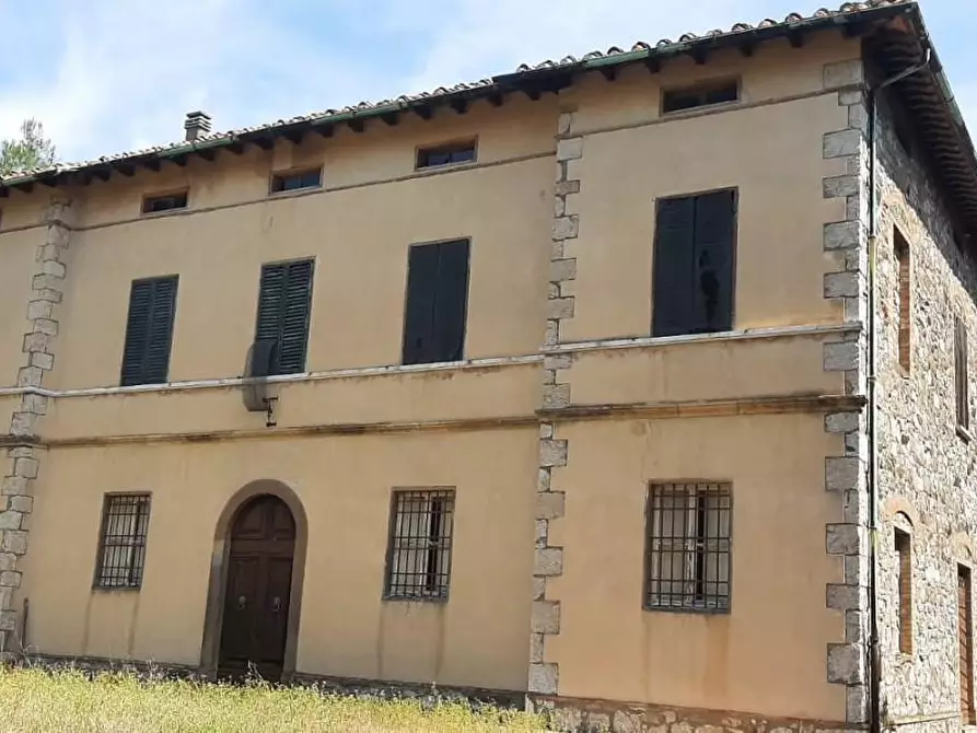 Immagine 2 di Casa colonica in vendita  a Pomarance