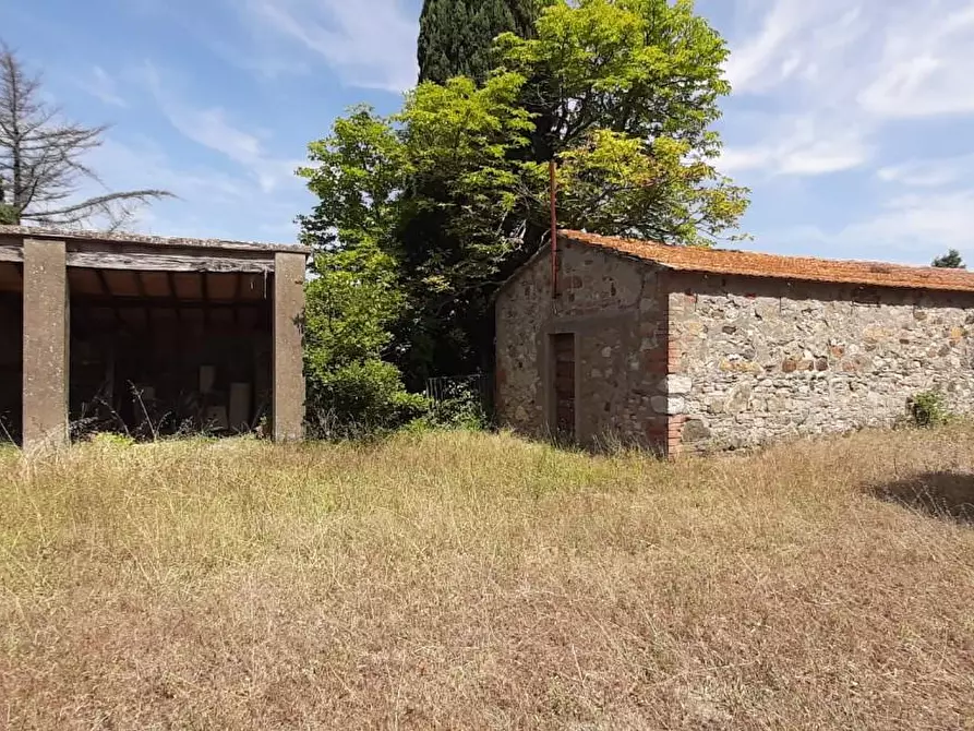 Immagine 18 di Casa colonica in vendita  a Pomarance