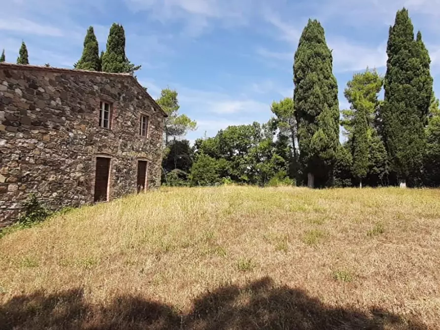 Immagine 16 di Casa colonica in vendita  a Pomarance
