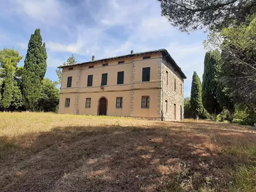 Immagine 3 di Casa colonica in vendita  a Pomarance