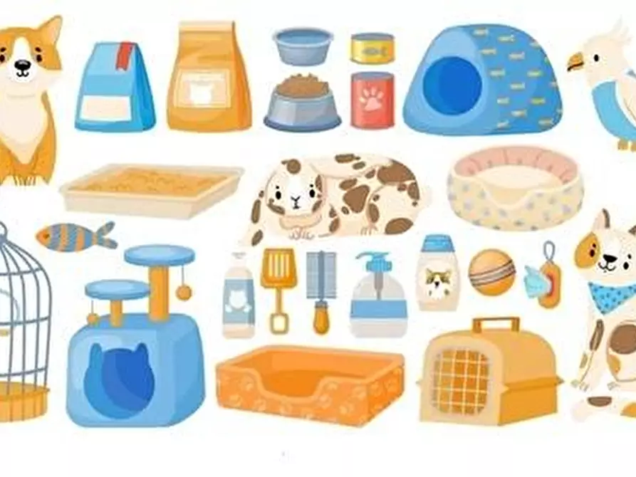 Immagine 6 di Attività commerciale in vendita  a Pisa