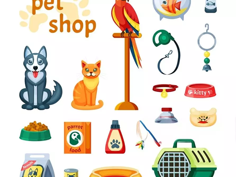 Immagine 4 di Attività commerciale in vendita  a Pisa