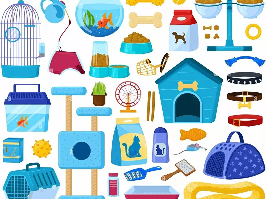 Immagine 5 di Attività commerciale in vendita  a Pisa