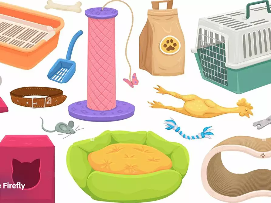 Immagine 2 di Attività commerciale in vendita  a Pisa