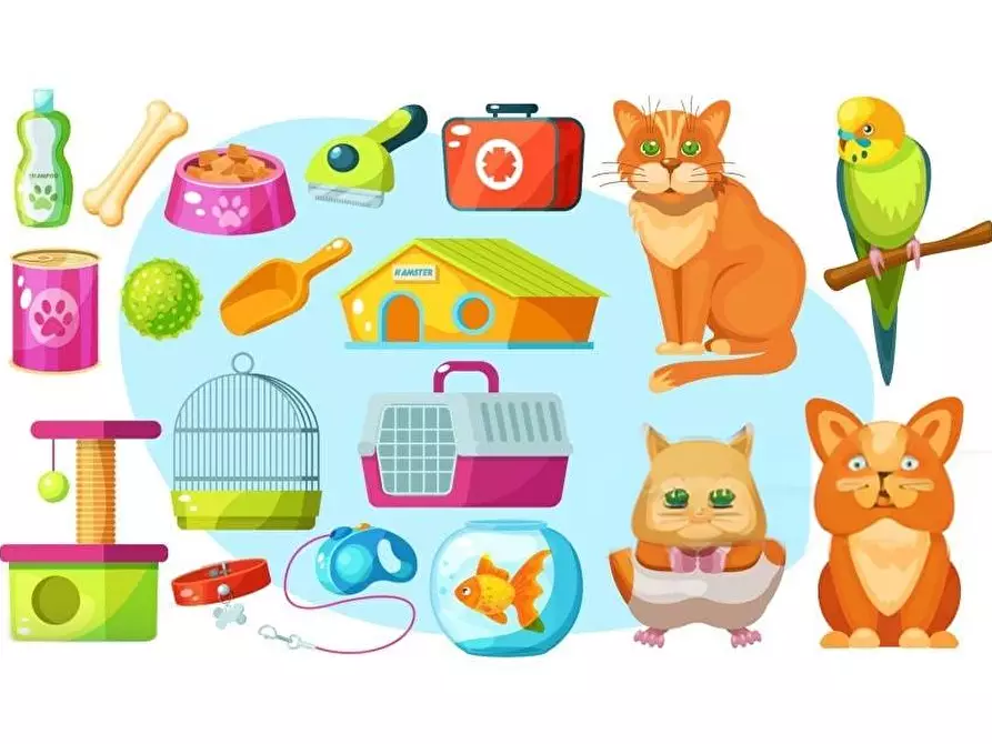 Immagine 3 di Attività commerciale in vendita  a Pisa