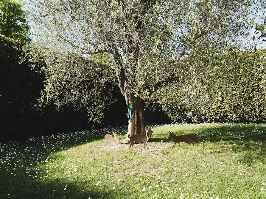 Immagine 8 di Villa in vendita  a Pisa