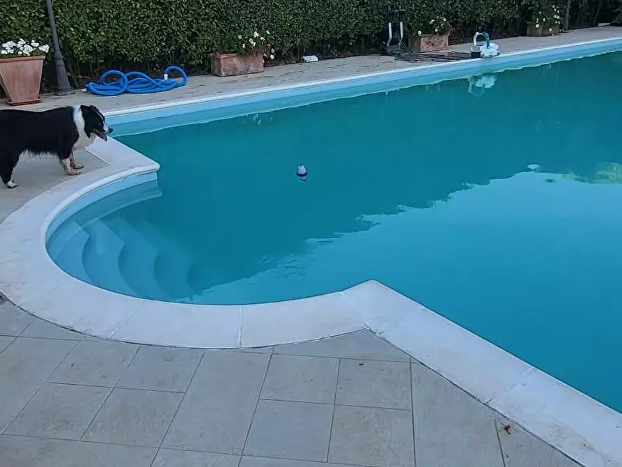 Immagine 59 di Villa in vendita  a Pisa