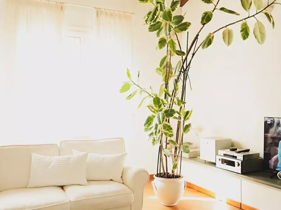 Immagine 25 di Villa in vendita  a Pisa