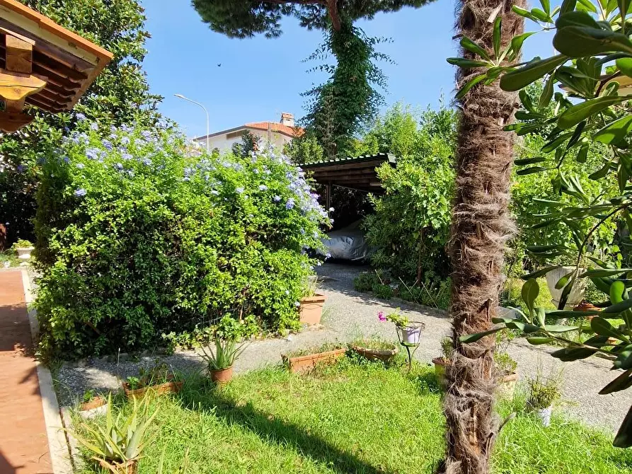Immagine 7 di Villa in vendita  a Viareggio