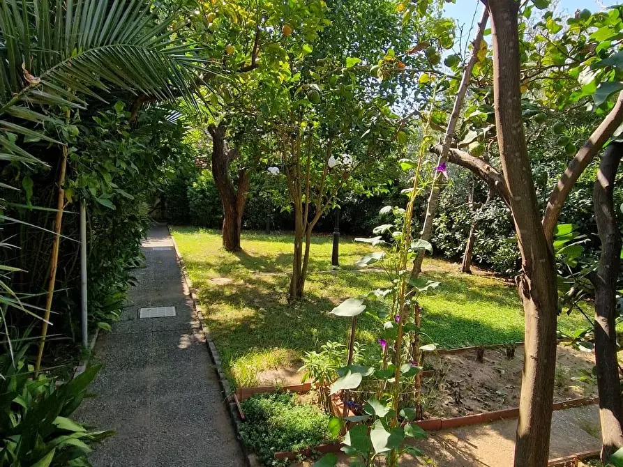 Immagine 12 di Villa in vendita  a Viareggio