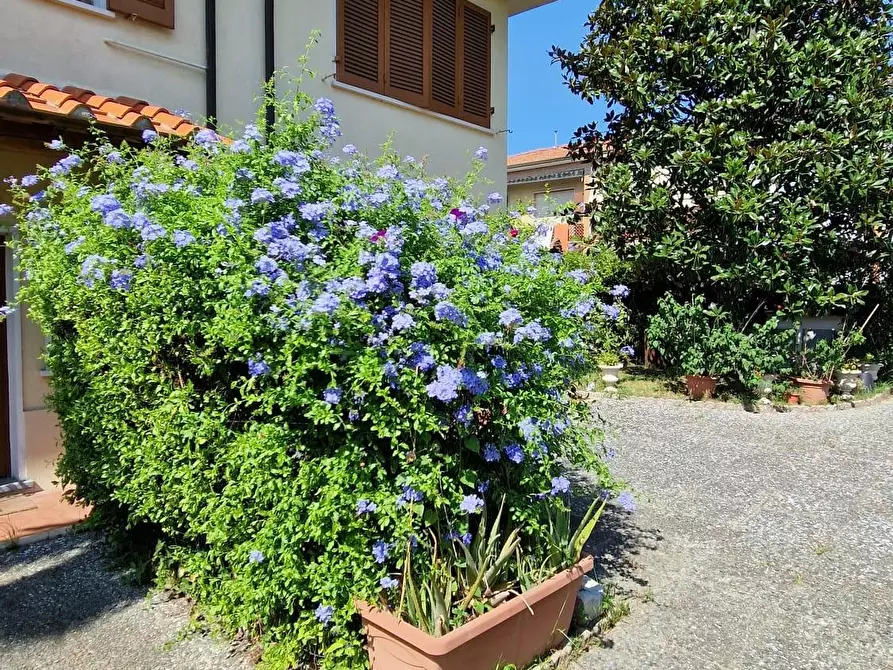 Immagine 5 di Villa in vendita  a Viareggio