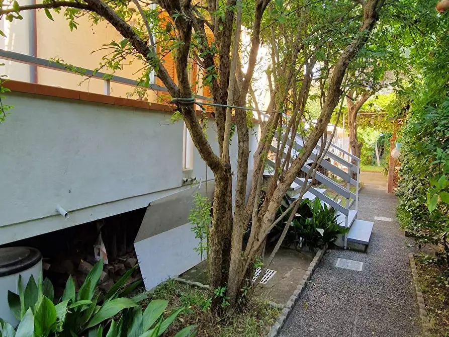 Immagine 9 di Villa in vendita  a Viareggio