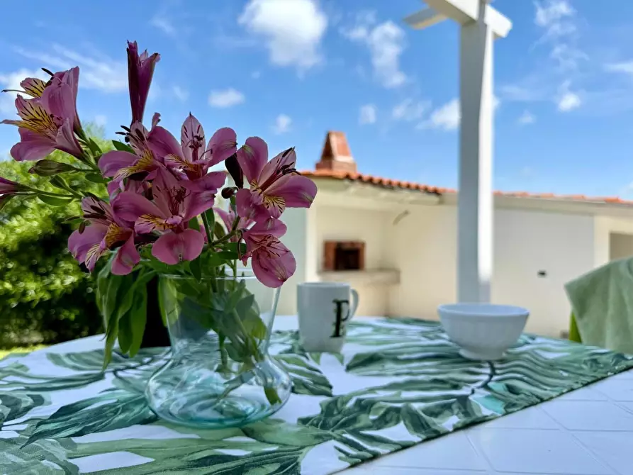 Immagine 26 di Casa bifamiliare in vendita  a Livorno