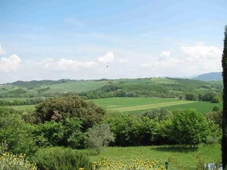 Immagine 2 di Azienda agricola in vendita  a Volterra
