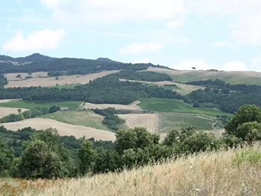 Immagine 1 di Azienda agricola in vendita  a Volterra