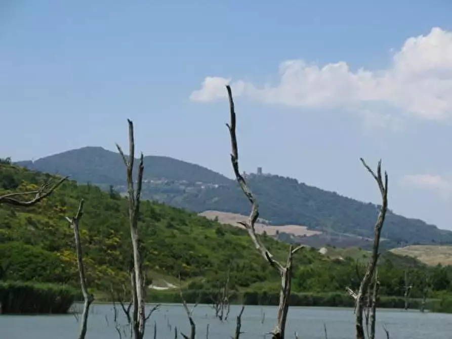 Immagine 4 di Azienda agricola in vendita  a Volterra