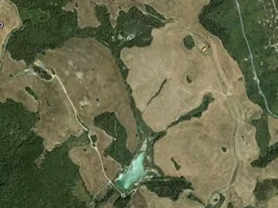 Immagine 5 di Azienda agricola in vendita  a Volterra