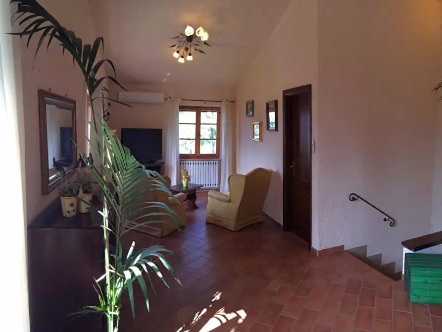 Immagine 5 di Villa in vendita  a Casciana Terme Lari