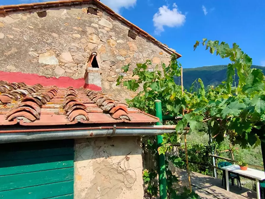 Immagine 1 di Casa colonica in vendita  a Calci