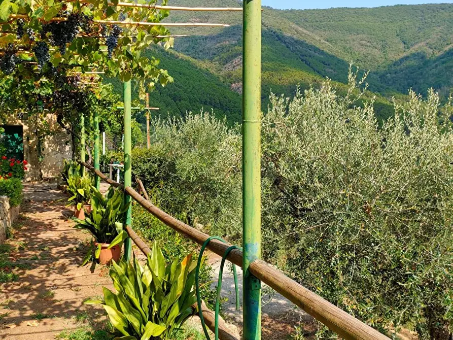 Immagine 23 di Casa colonica in vendita  a Calci