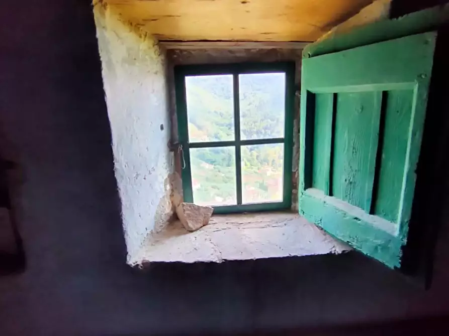 Immagine 20 di Casa colonica in vendita  a Calci