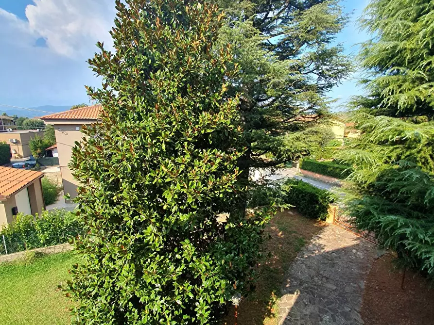 Immagine 41 di Casa bifamiliare in vendita  a Lucca