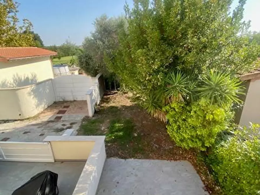 Immagine 9 di Terratetto in vendita  a San Giuliano Terme