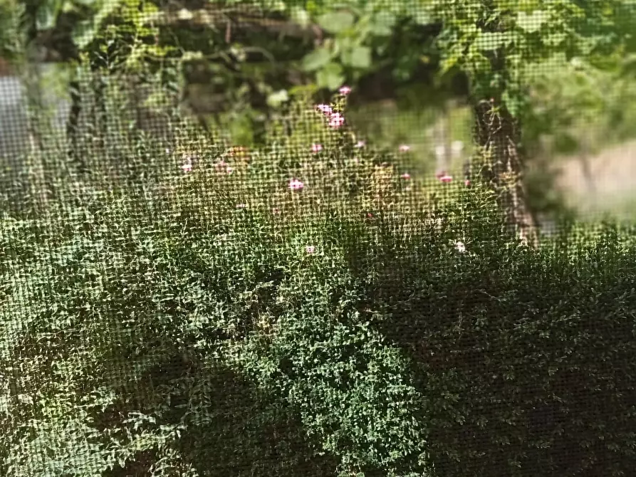Immagine 11 di Porzione di casa in vendita  a Podenzana