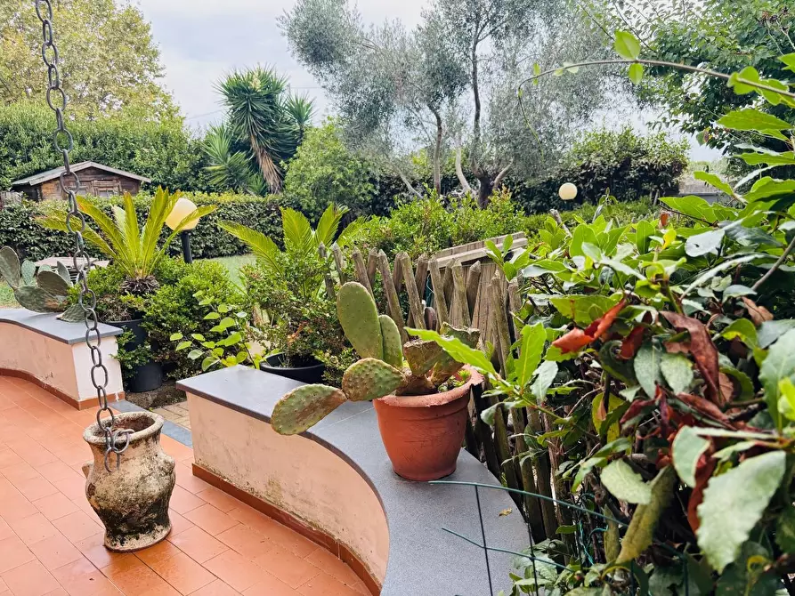 Immagine 3 di Casa bifamiliare in vendita  a Livorno