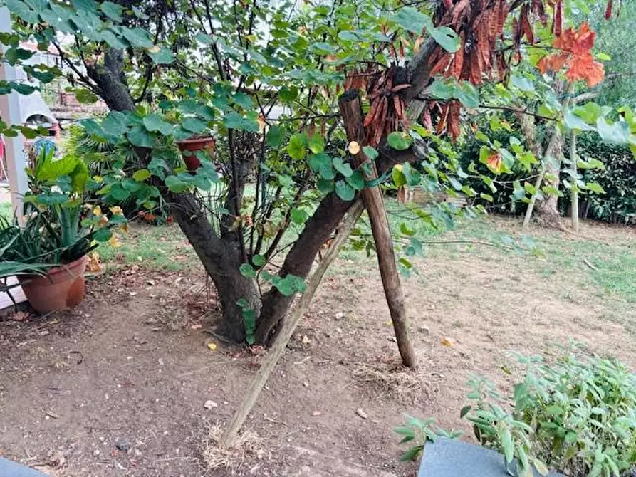 Immagine 4 di Casa bifamiliare in vendita  a Livorno