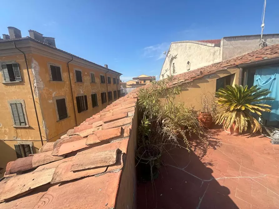 Immagine 16 di Terratetto in vendita  a Pisa