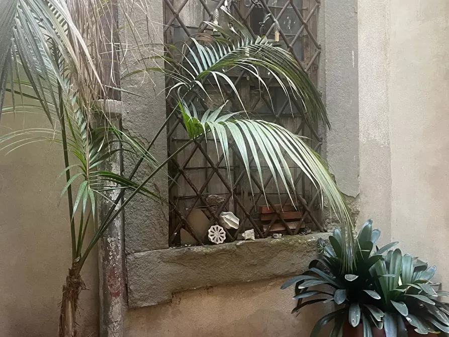 Immagine 10 di Terratetto in vendita  a Pisa